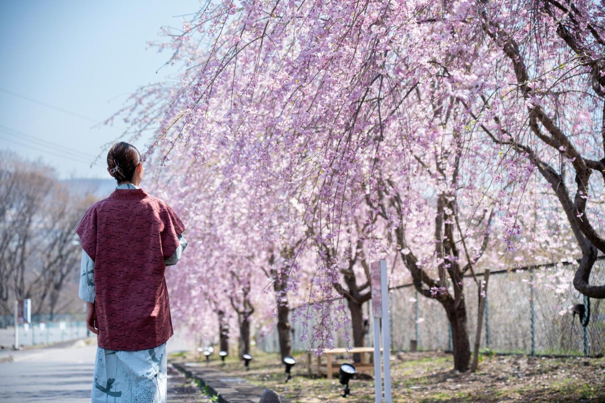Nunohiki Onsen Komoro Bagian luar foto